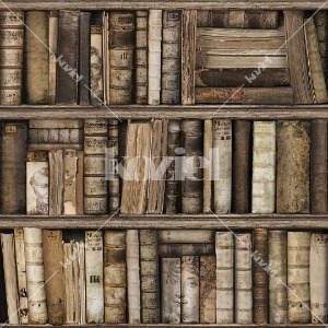 Antique bookshelves wallpaper